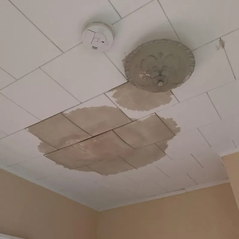 Ceiling Water Damage Repair in Fairview, TX