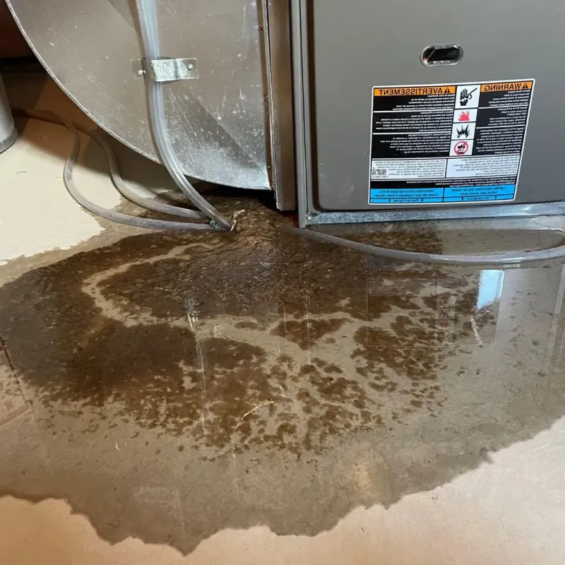 Pipe Burst and Leak Restoration in Fairview, TX