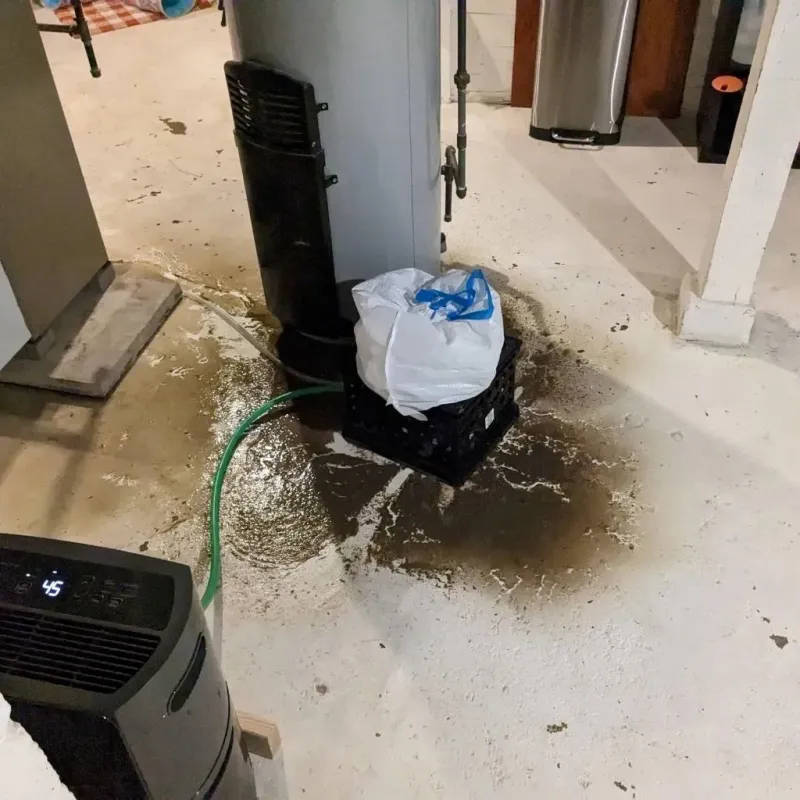 Sewage Backup Cleanup Service in Fairview, TX